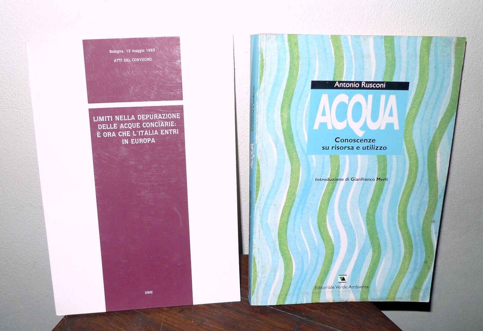 Rusconi,ACQUA.CONOSCENZE SU RISORSA E UTILIZZO,1994/DEPURAZIONE ACQUE CONCIARIE