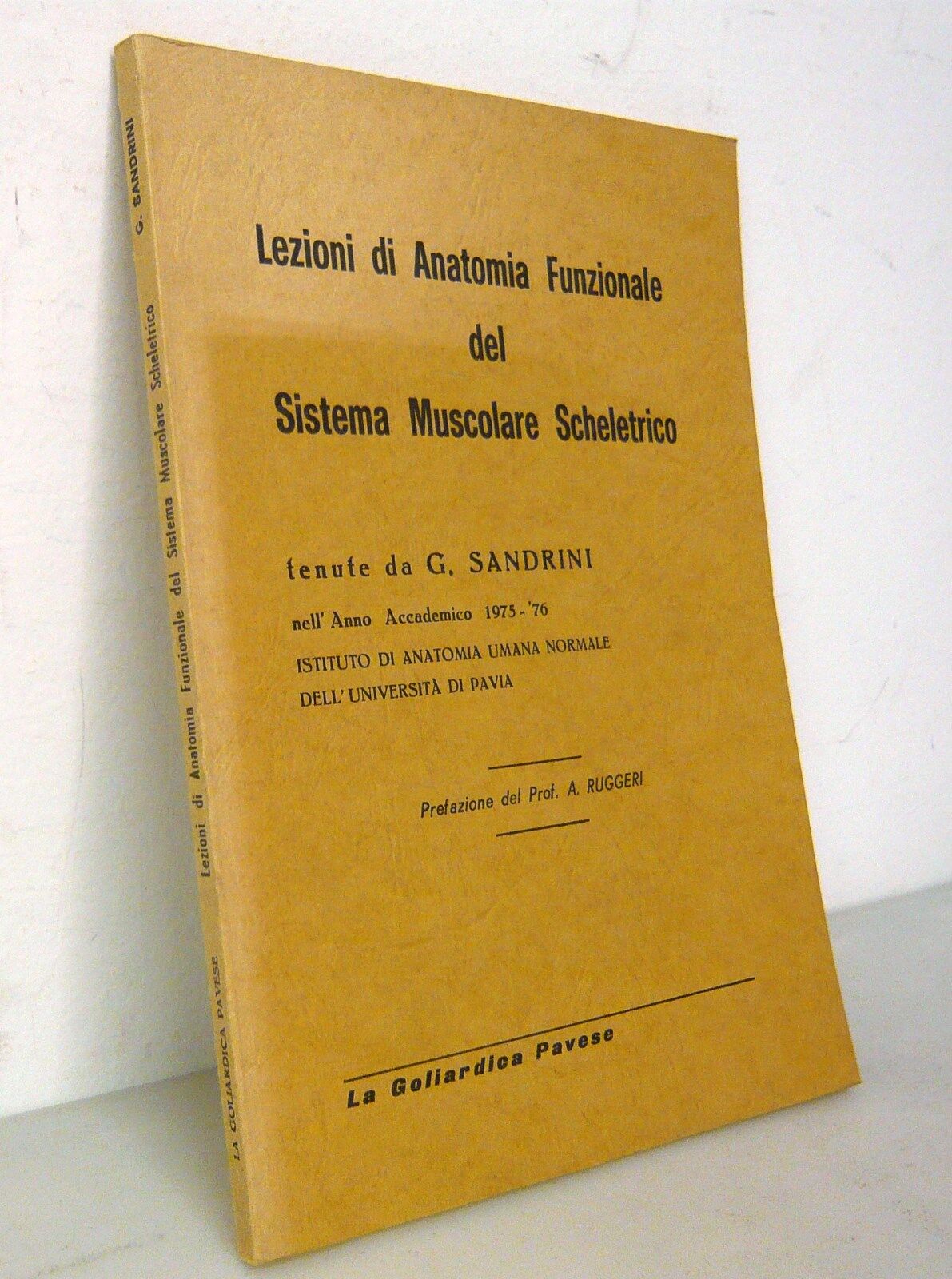 Sandrini,LEZIONI DI ANATOMIA FUNZIONALE DEL SISTEMA MUSCOLARE SCHELETRICO,1976