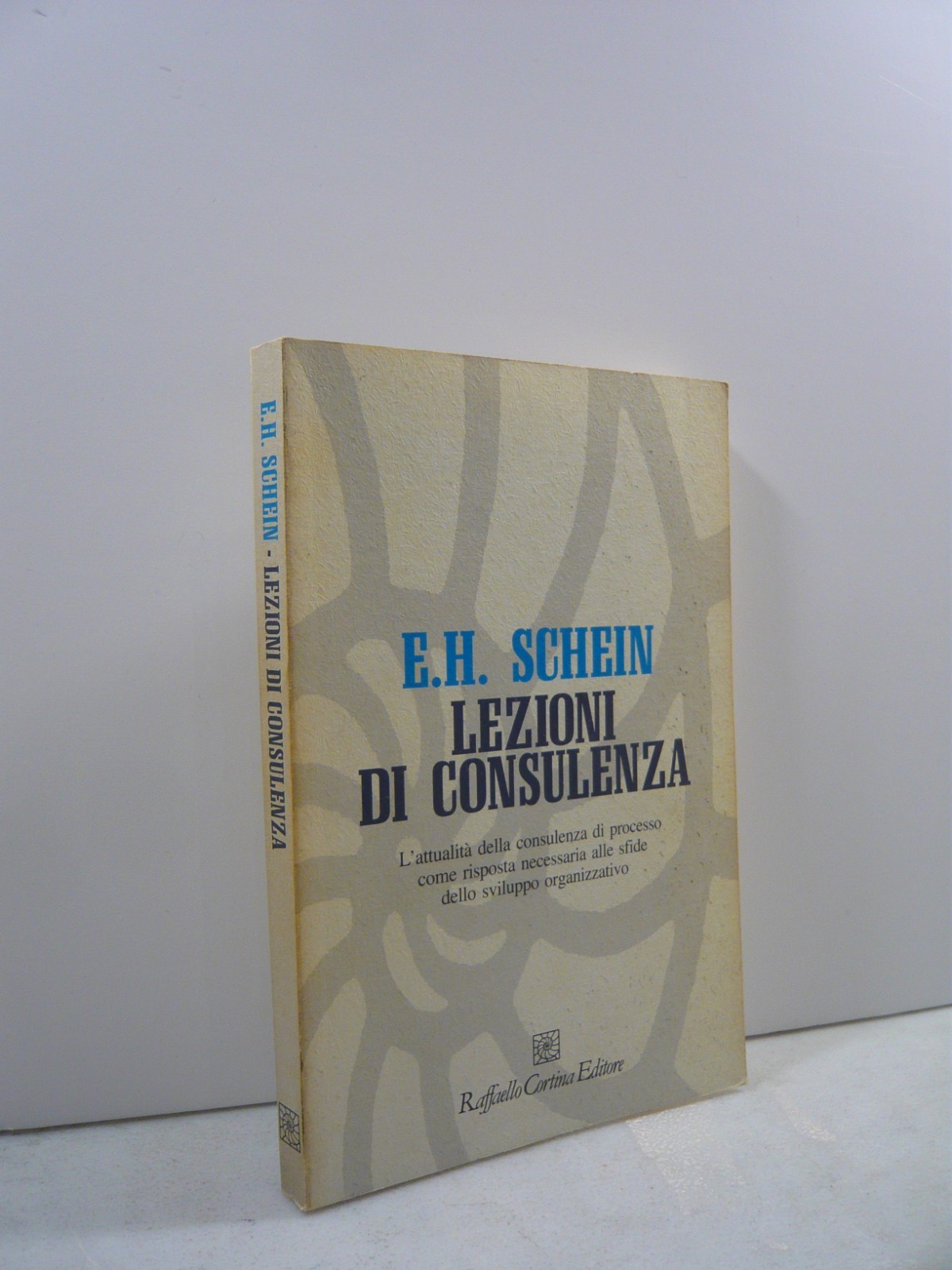 Schein,LEZIONI DI CONSULENZA, 1992