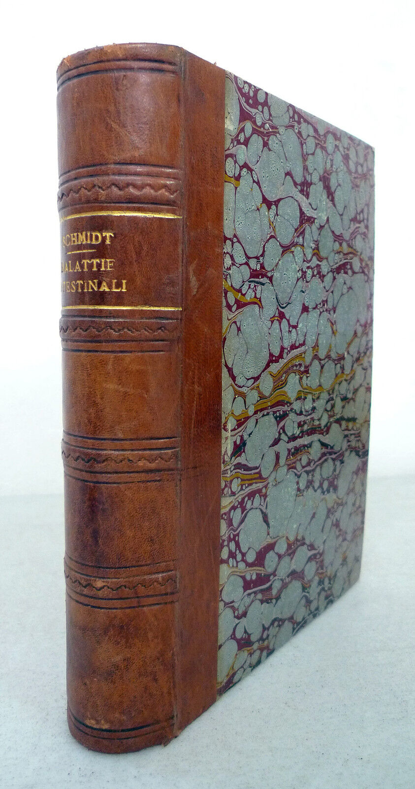 Schmidt,TRATTATO DELLE MALATTIE INTESTINALI,1915[medicina,gastroenterologia