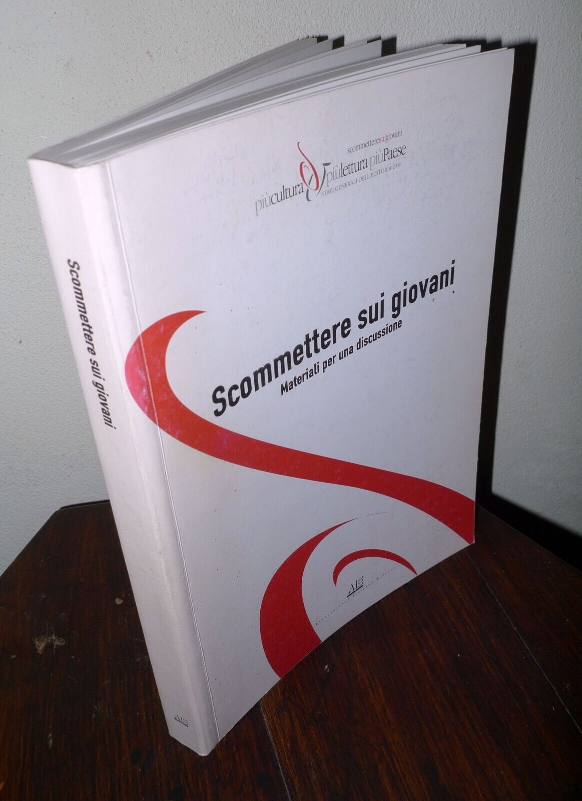 SCOMMETTERE SUI GIOVANI.MATERIALI PER UNA DISCUSSIONE,2008 AIE[consumo culturale