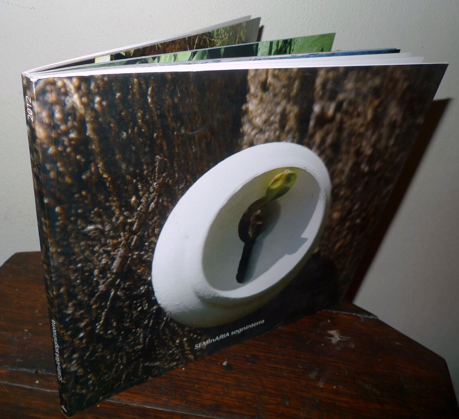 SEMInARIA sogninterra.FESTIVAL D'ARTE CONTEMPORANEA 2012 Maranola di Formia