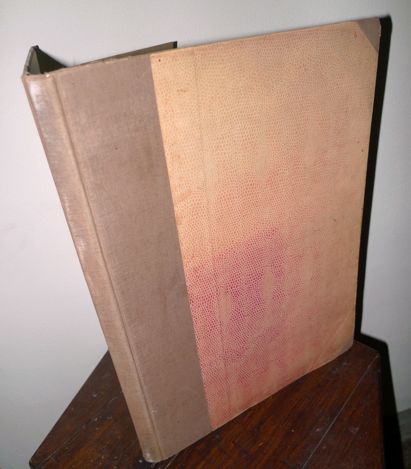 SETTIMANA INCOM ILLUSTRATA.I VENTI MESI PIÙ LUNGHI DELLA NOSTRA VITA …