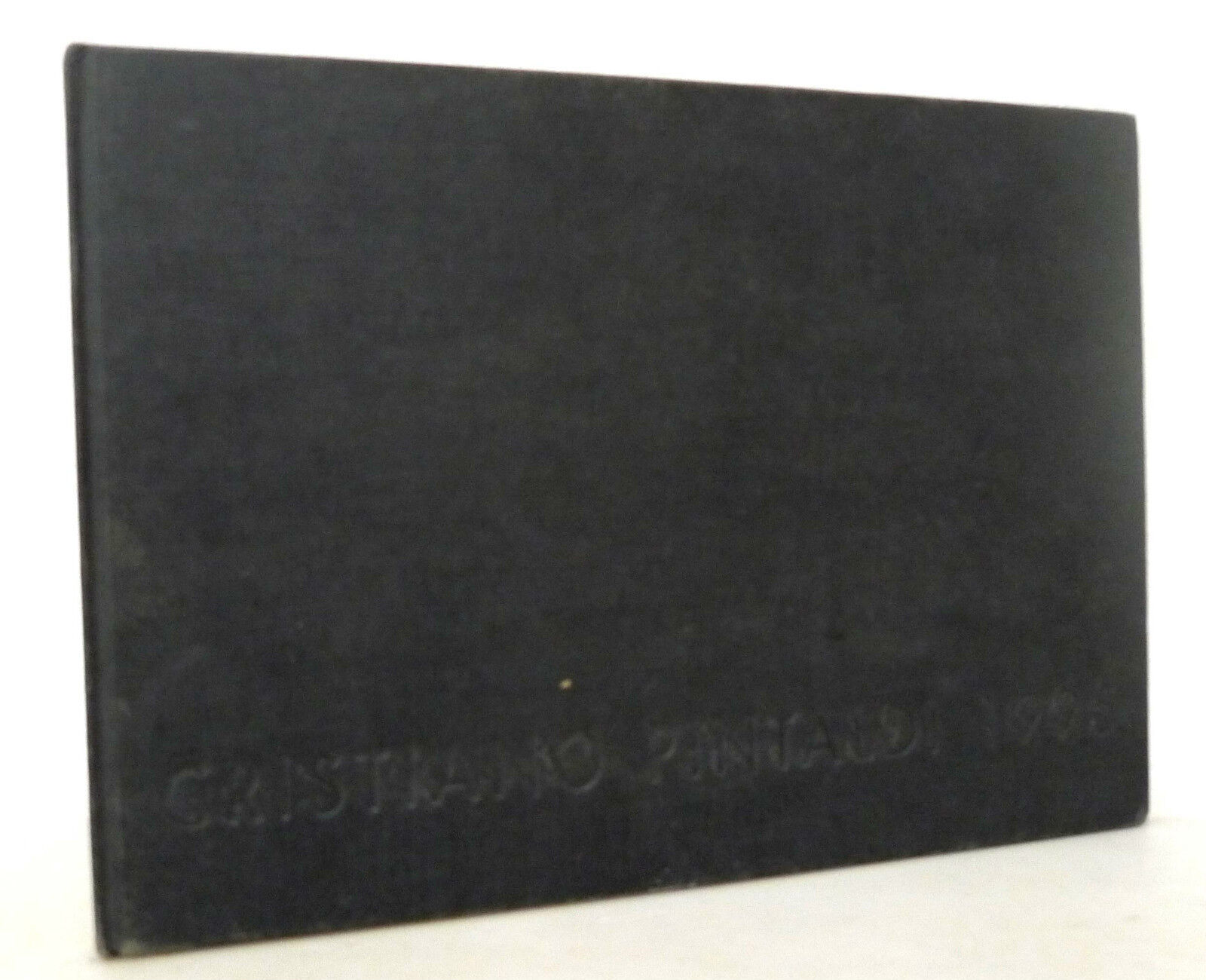 Stella,CRISTIANO PINTALDI,Il Ponte 1995[catalogo mostra,arte contemporanea