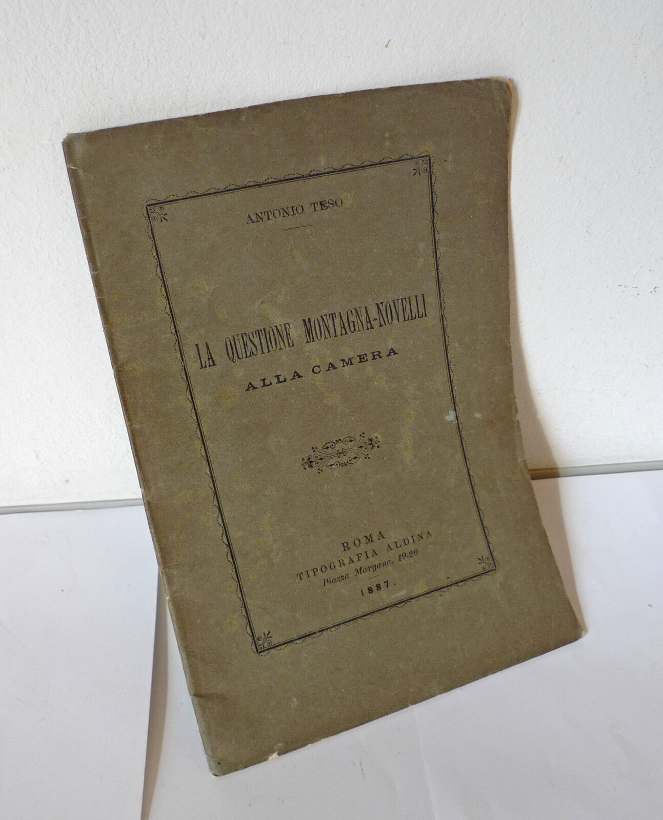 Teso,LA QUESTIONE MONTAGNA-NOVELLI ALLA CAMERA,1887[storia,elezioni,Caserta
