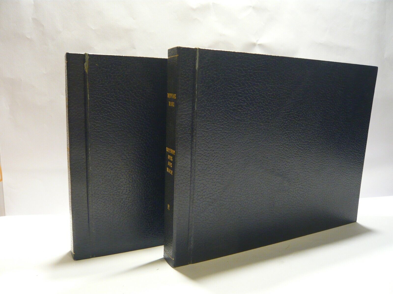 Theophanes Nonnus COMPENDIUM TOTIUS ARTIS MEDICAE,1795[anastatica,medicina