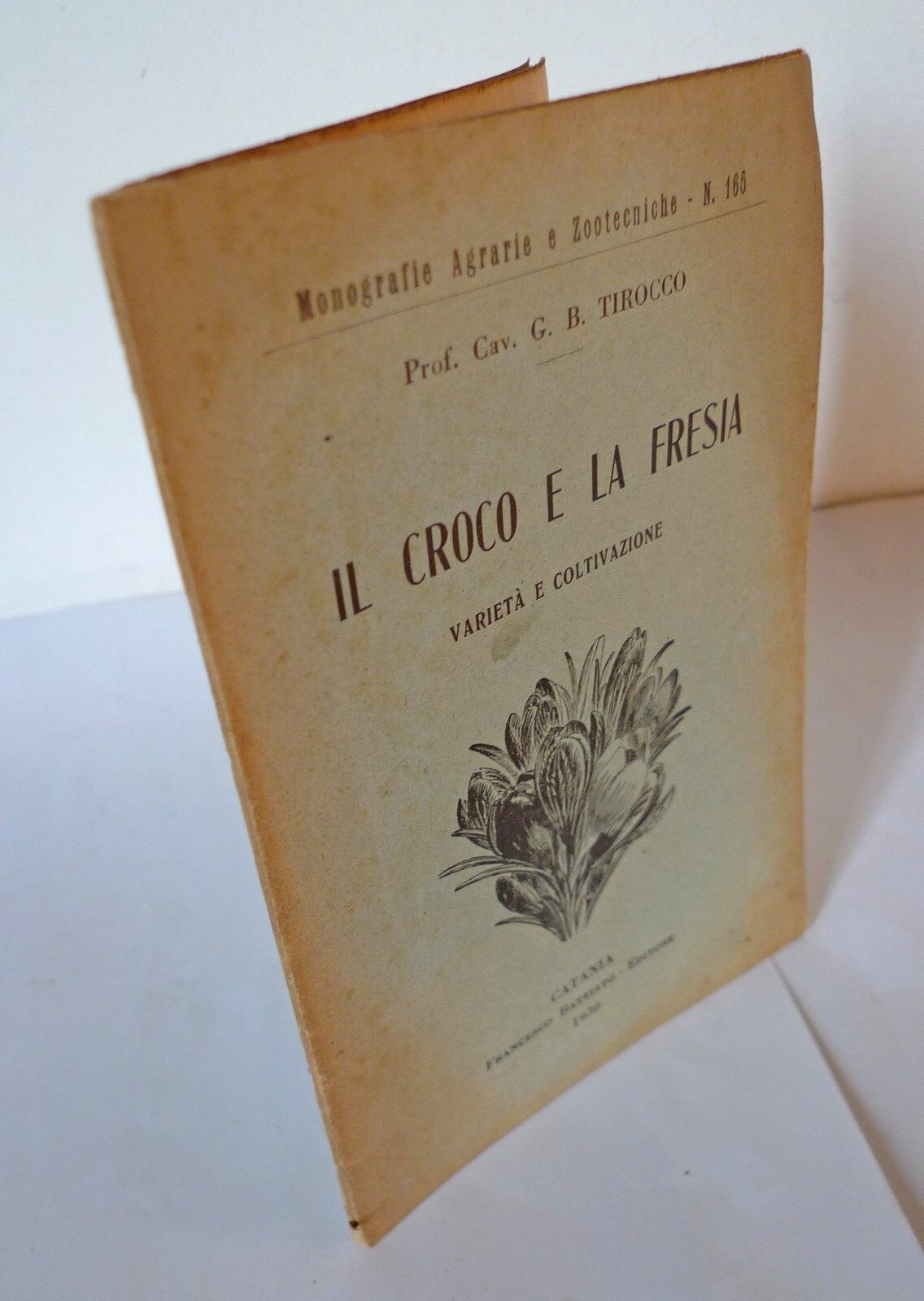 Tirocco,IL CROCO E LA FRESIA.VARIETÀ E COLTIVAZIONE,1930 Battiato[agricoltura