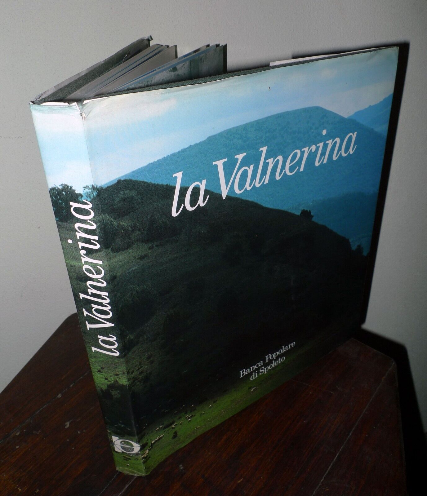 Toscano,LA VALNERINA,1987 Banca Popolare di Spoleto[Umbria,storia locale