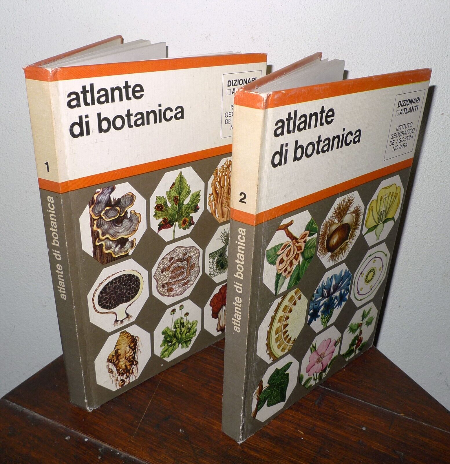 Tosco,ATLANTE DI BOTANICA.2voll. VEGETALI INFERIORI/SUPERIORI,1971 De Agostini