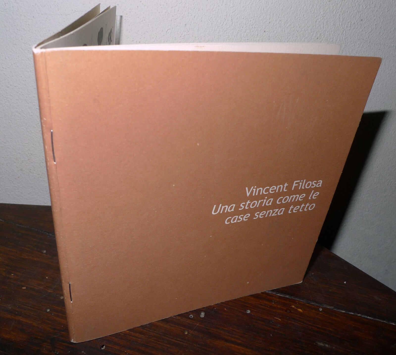 Vincent Filosa,UNA STORIA COME LE CASE SENZA TETTO,2009 RAM HOTEL[illustrazione