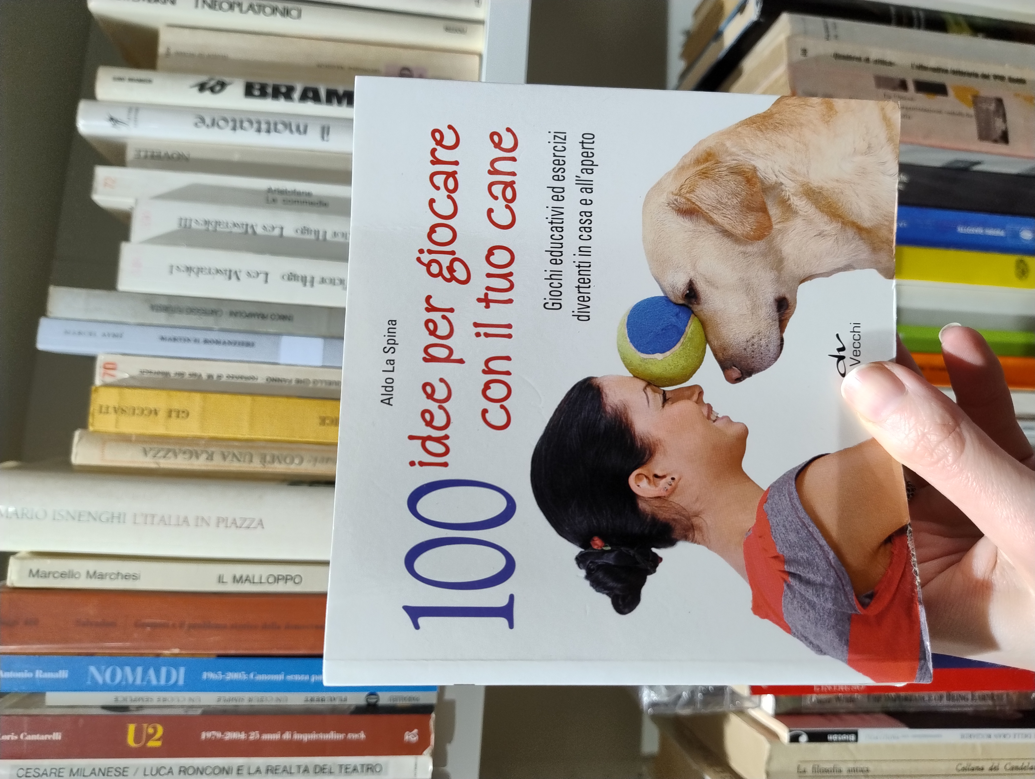 100 idee per giocare con il tuo cane