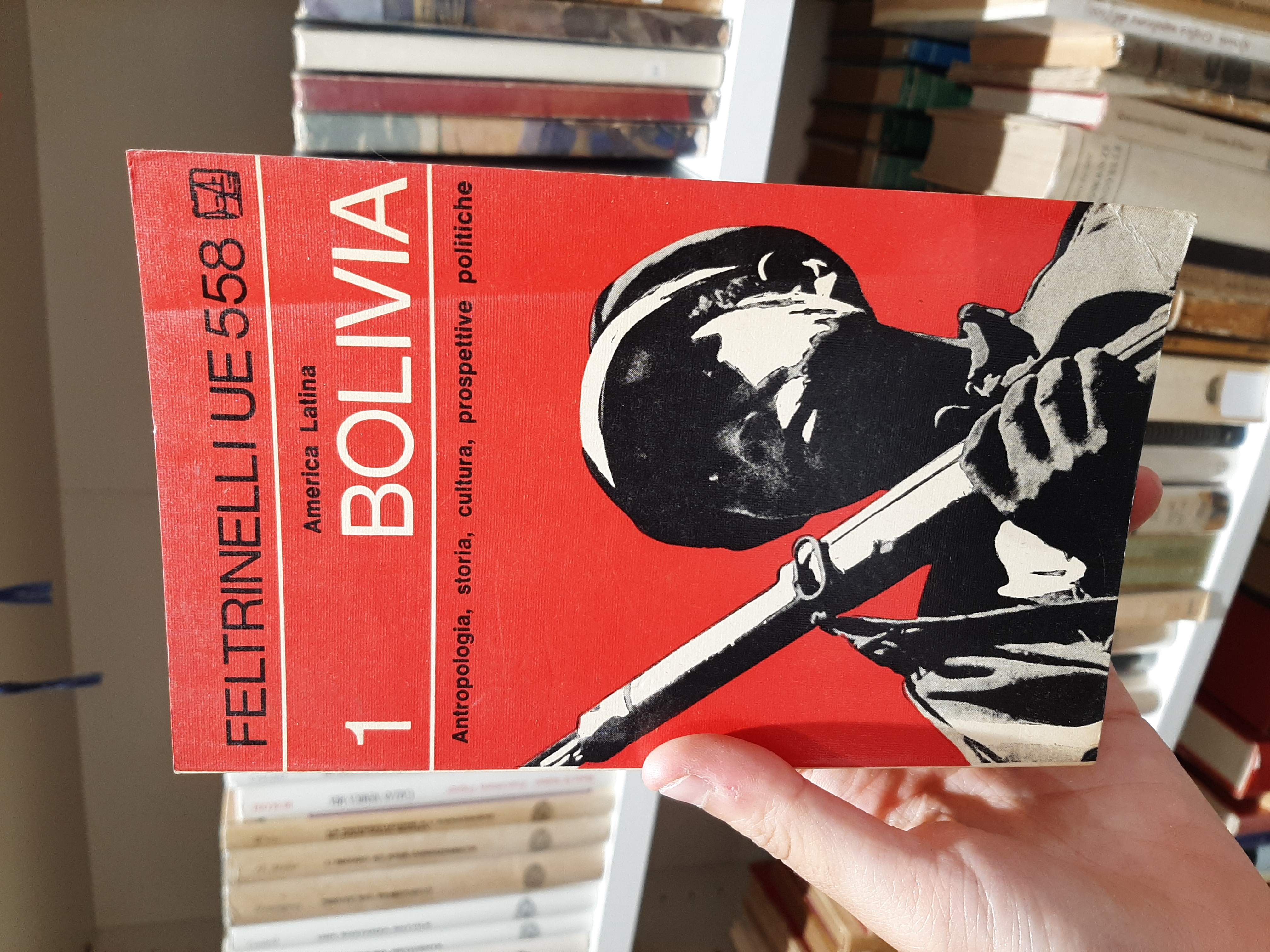 Bolivia - Antropologia, storia, cultura, prospettive politiche
