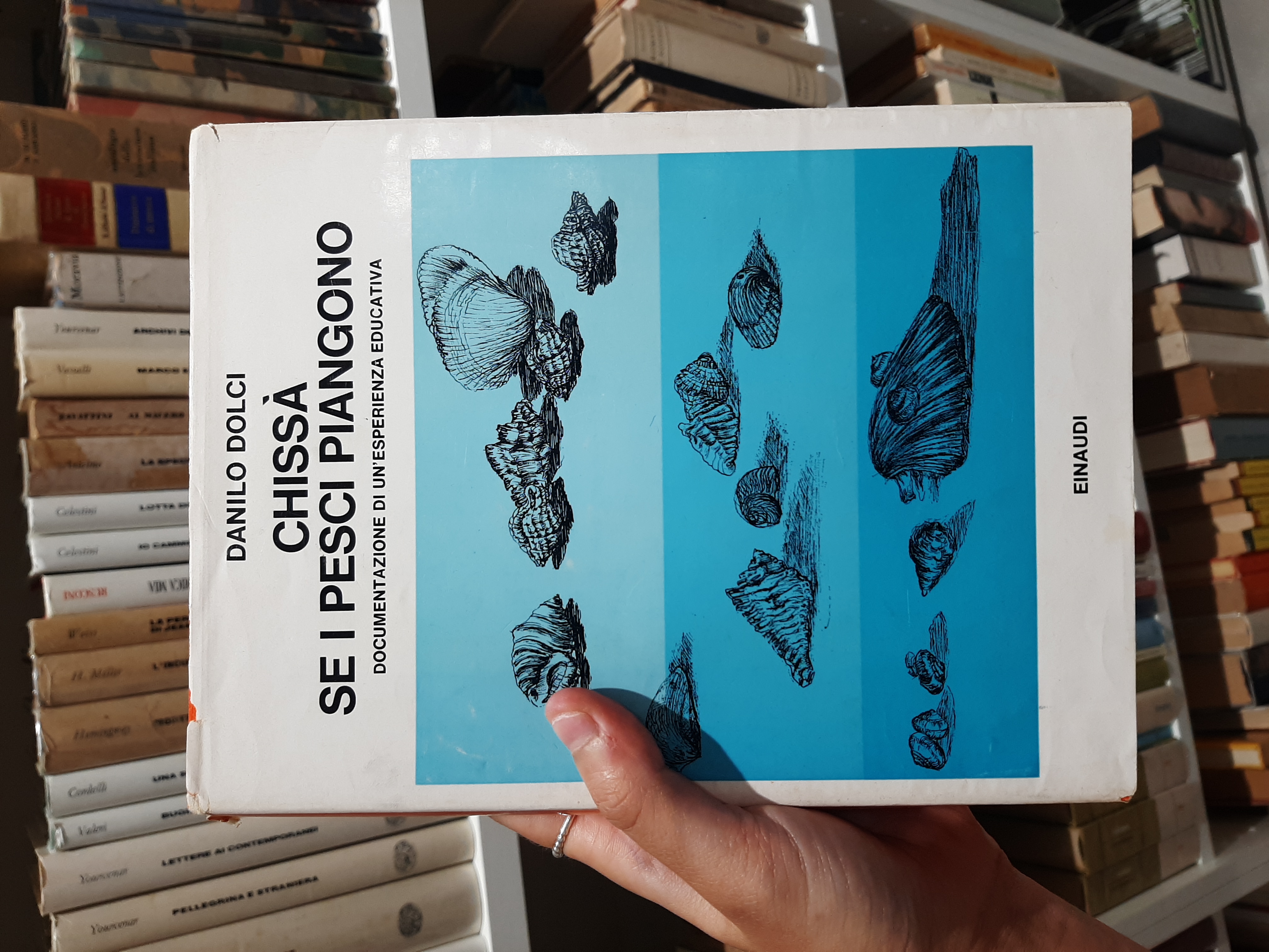 Chissà se i pesci piangono