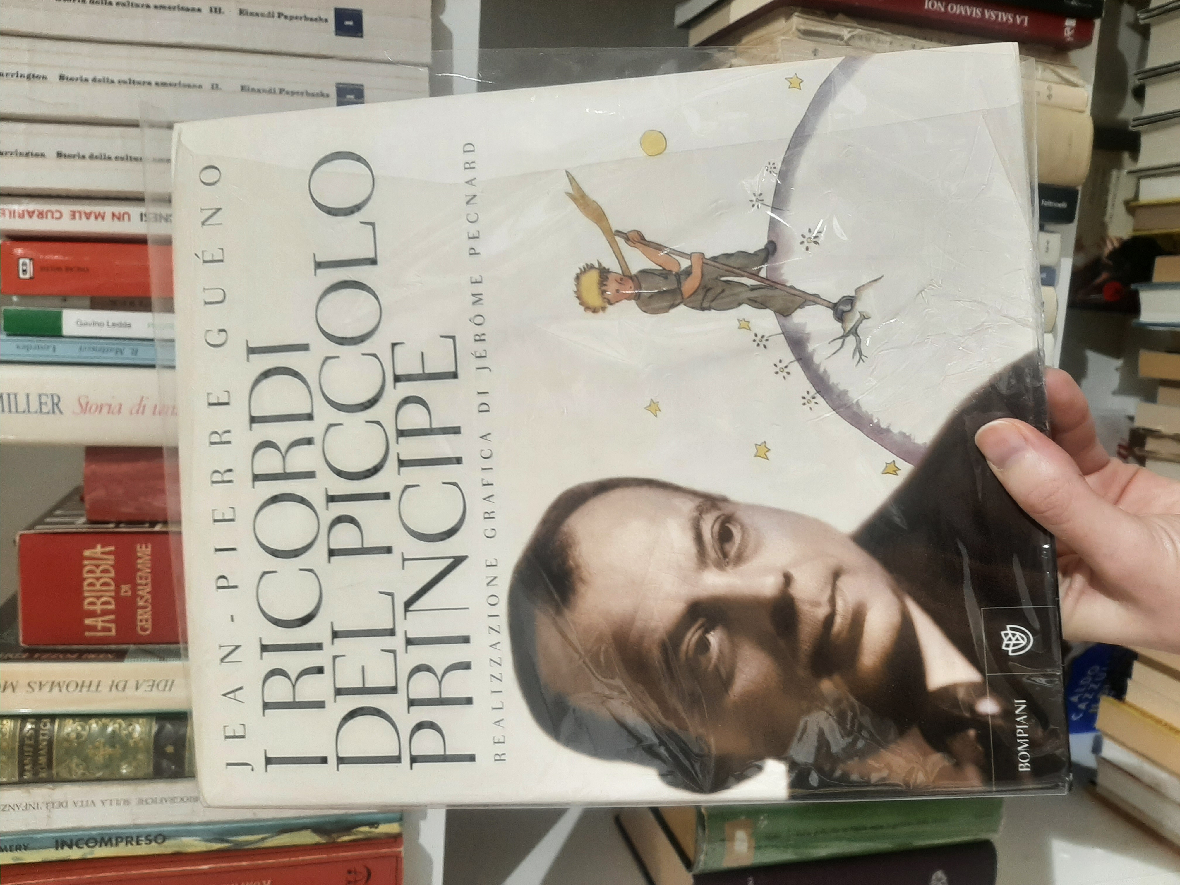 I ricordi del piccolo principe