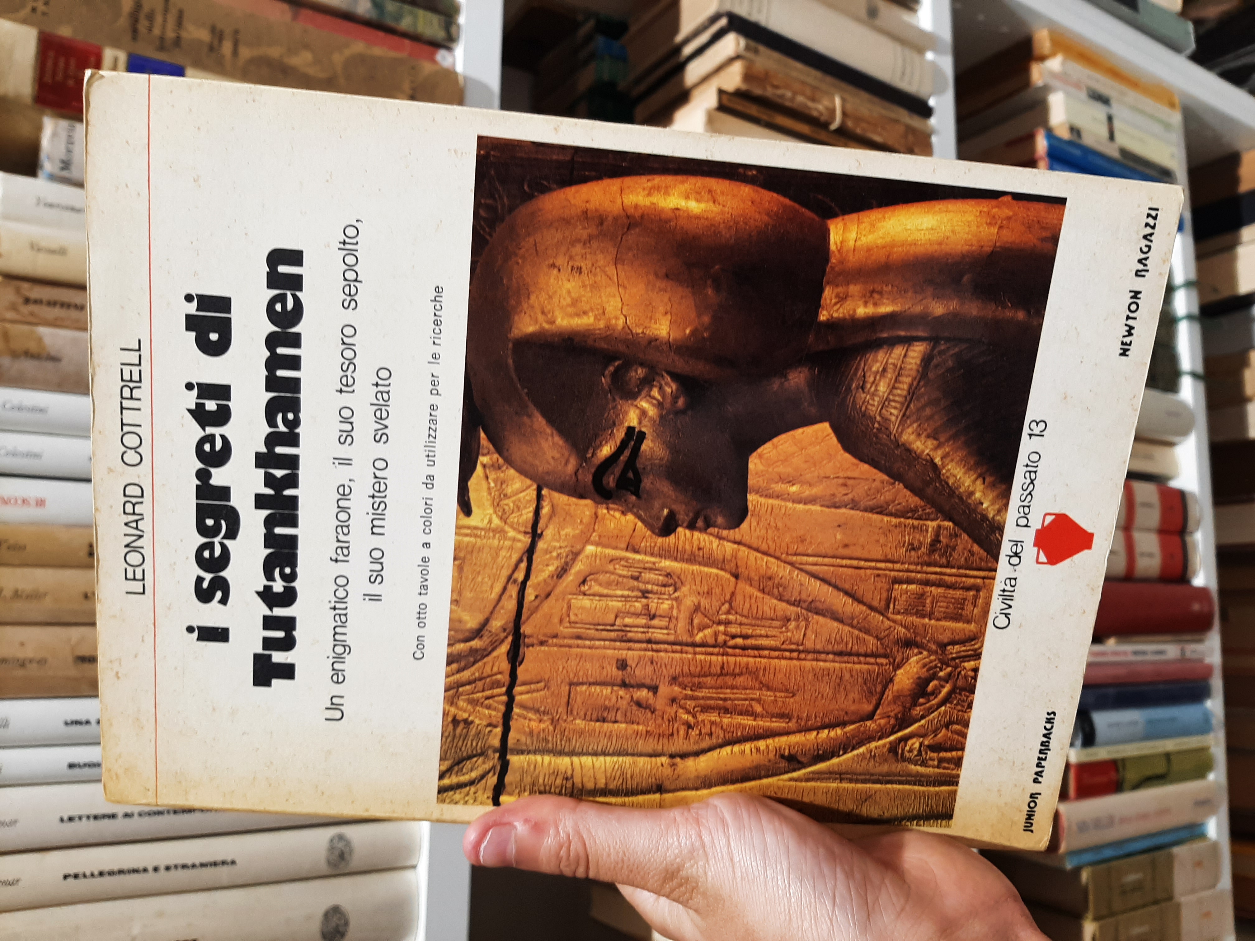 I segreti di Tutankhamen