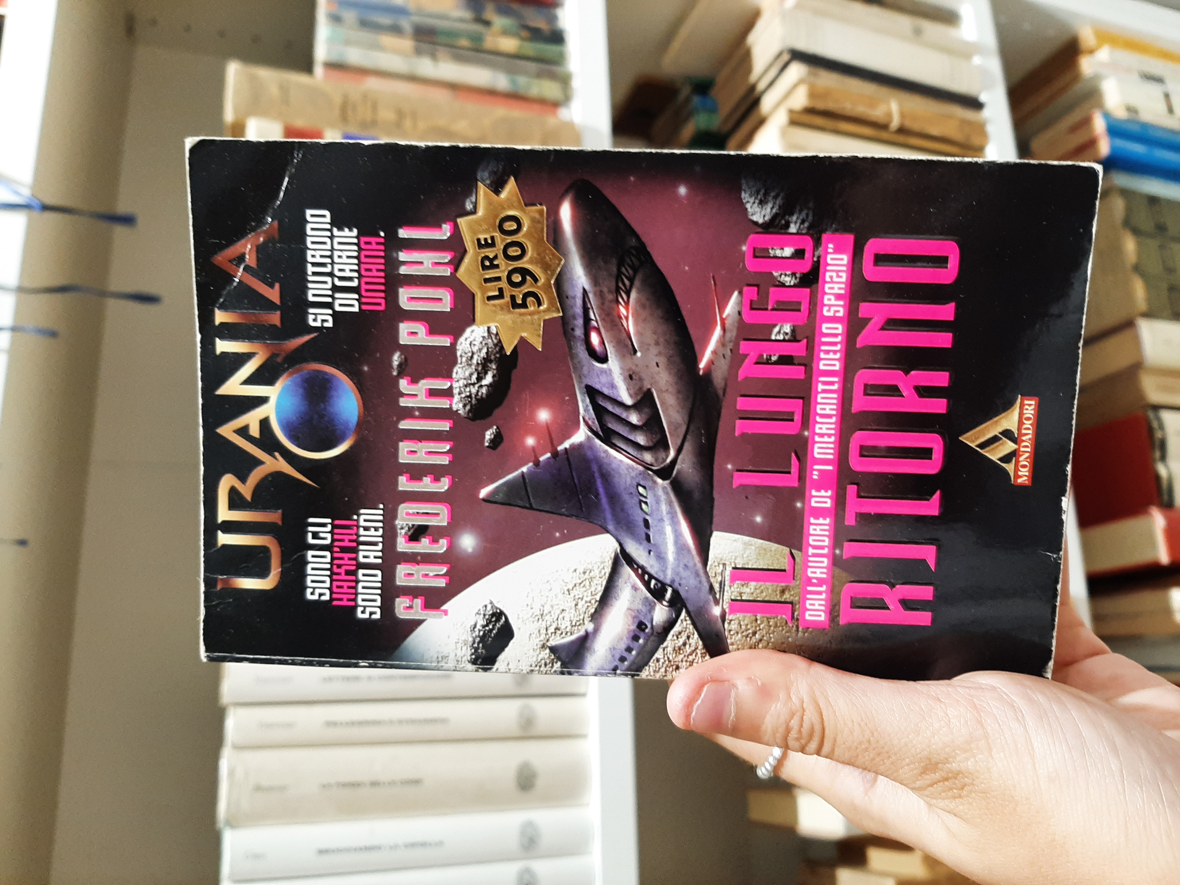 Il lungo ritorno