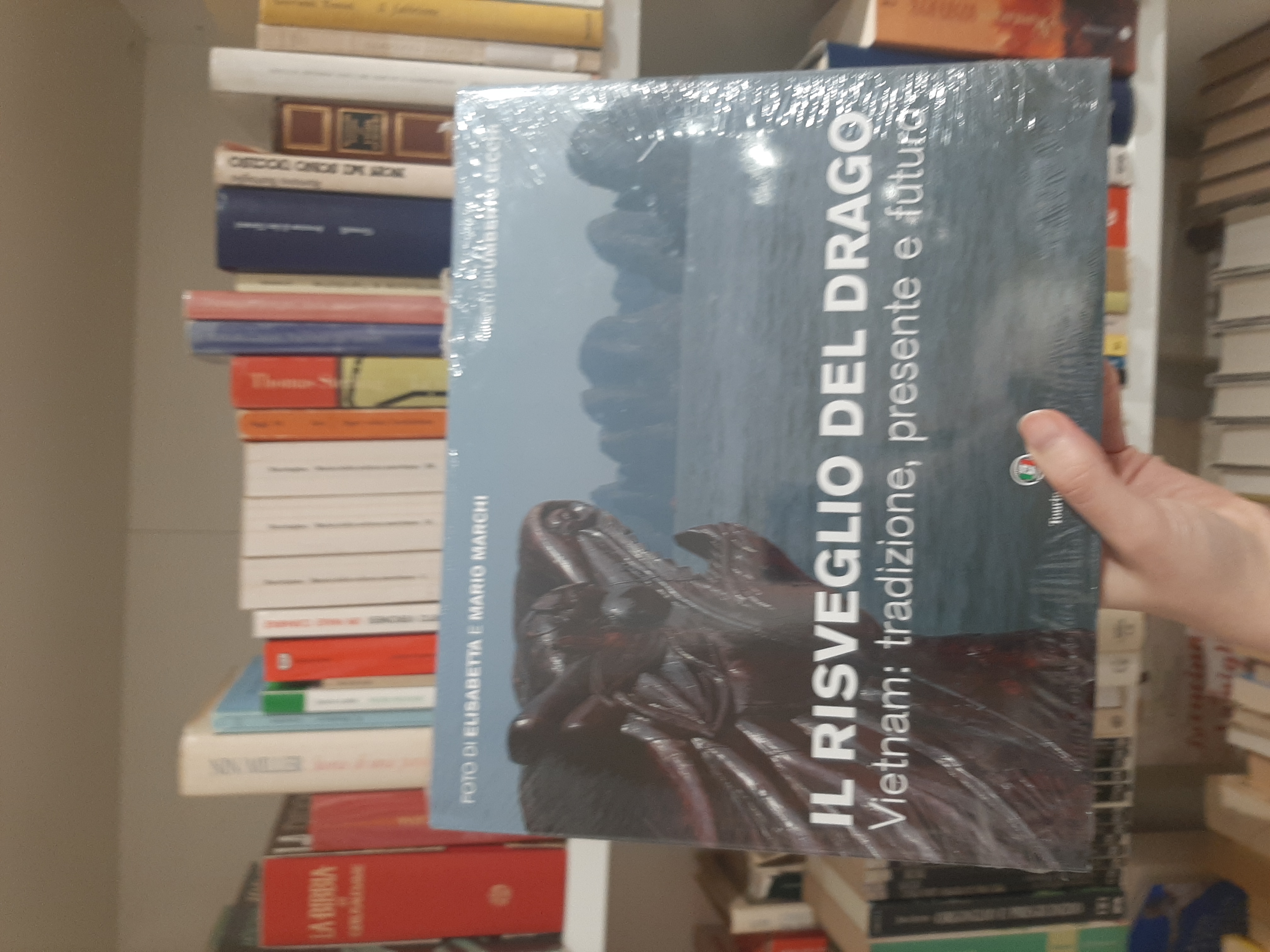 Il Risveglio del Drago: Vietnam, tradizione, presente e futuro