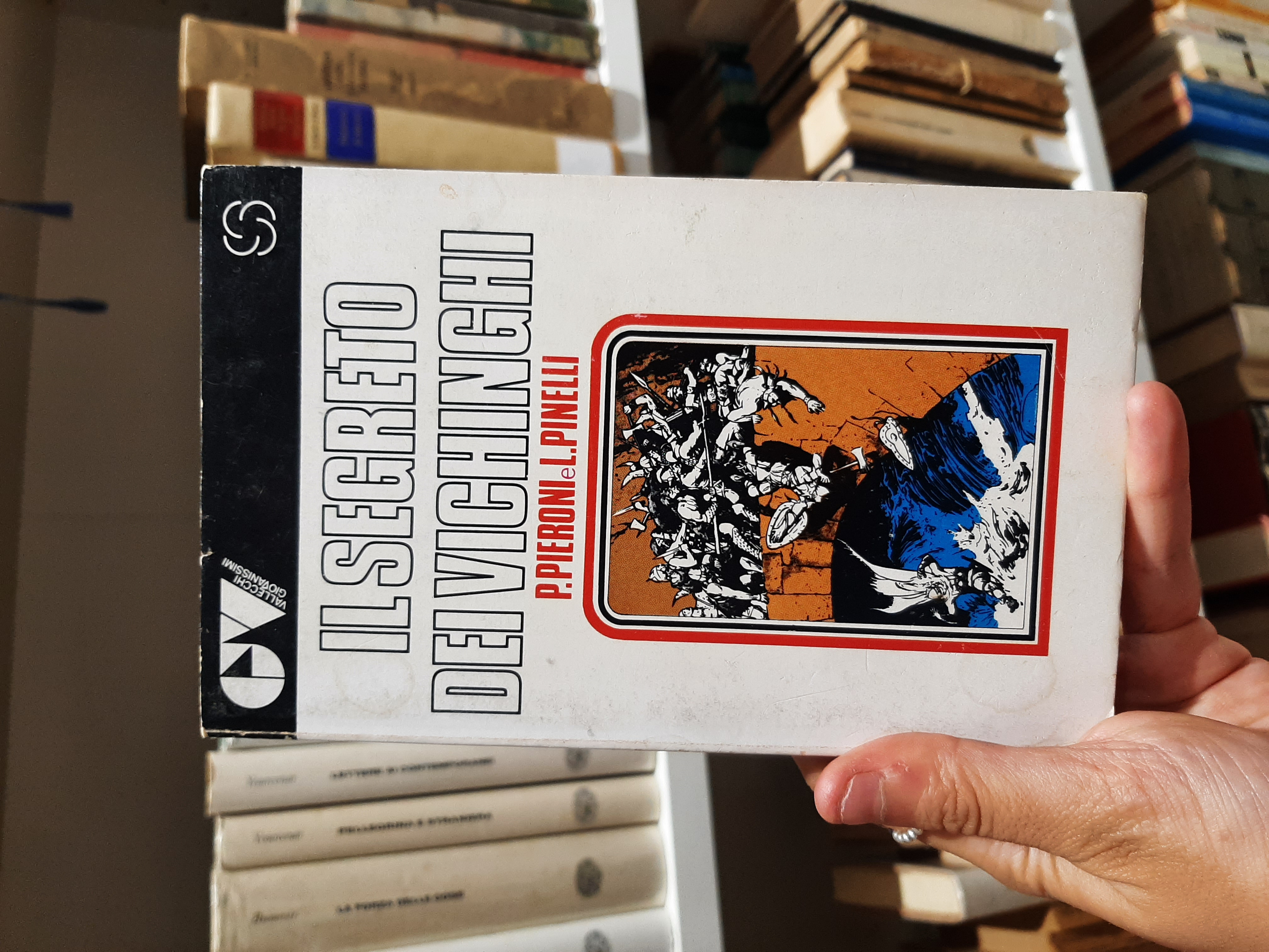Il segreto dei Vichinghi