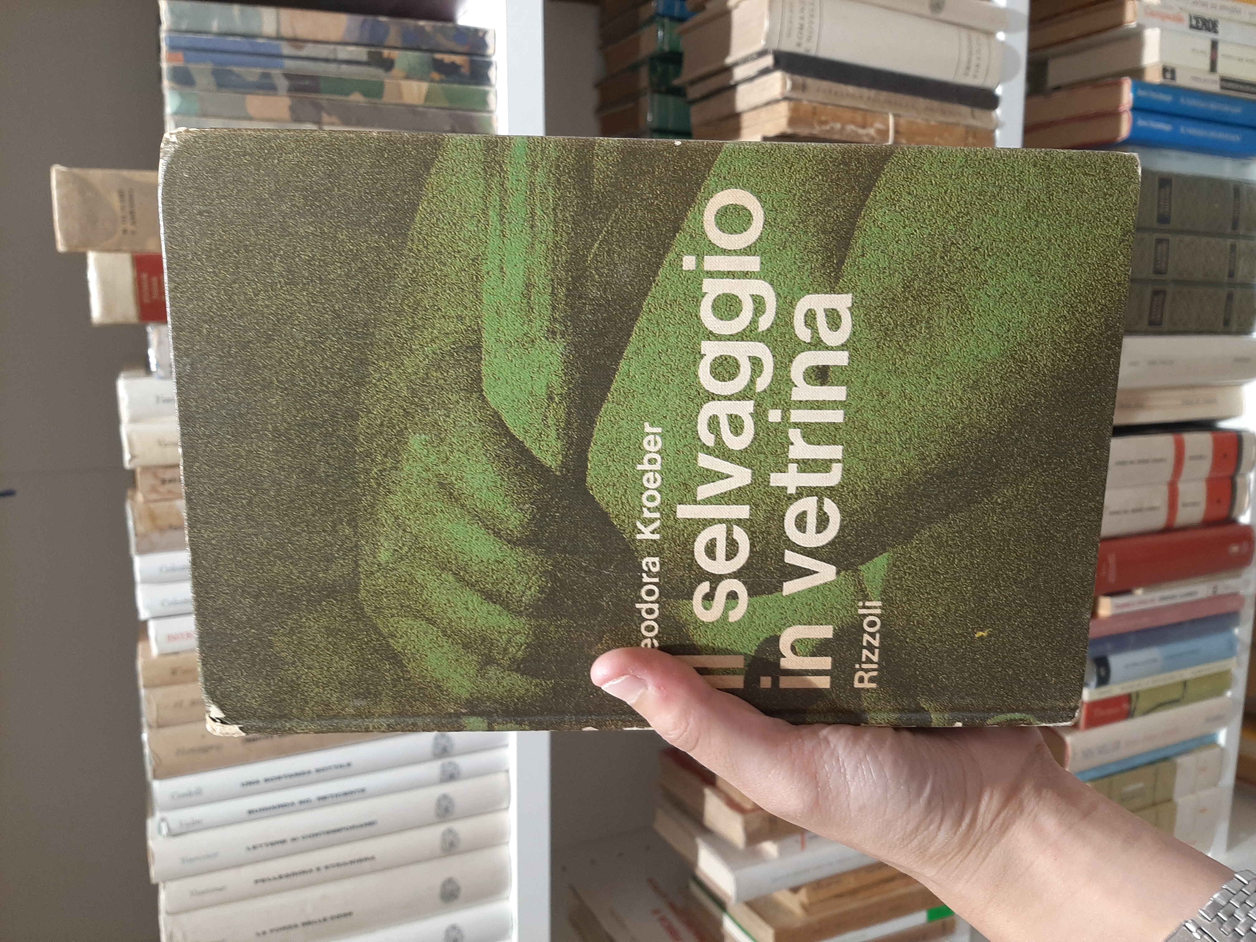 Il selvaggio in vetrina