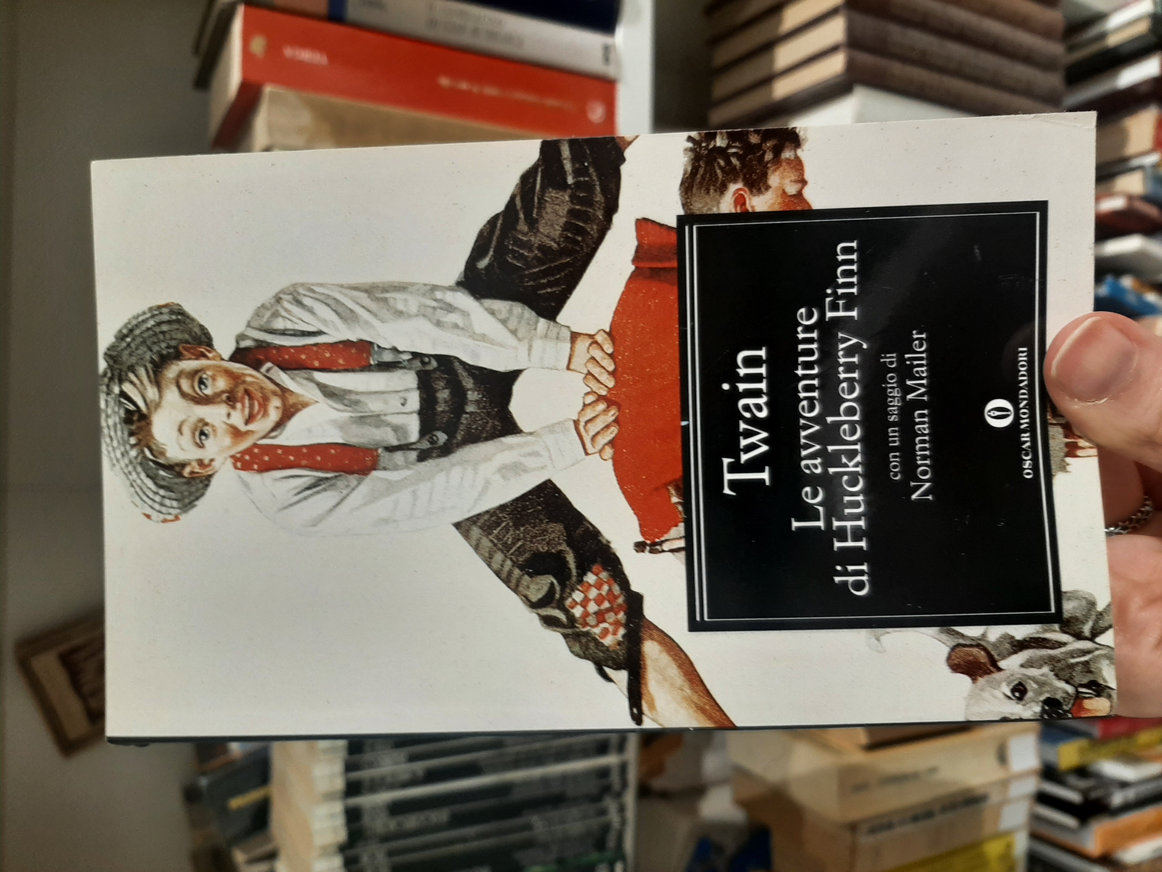 Le avventure di Huckleberry Finn
