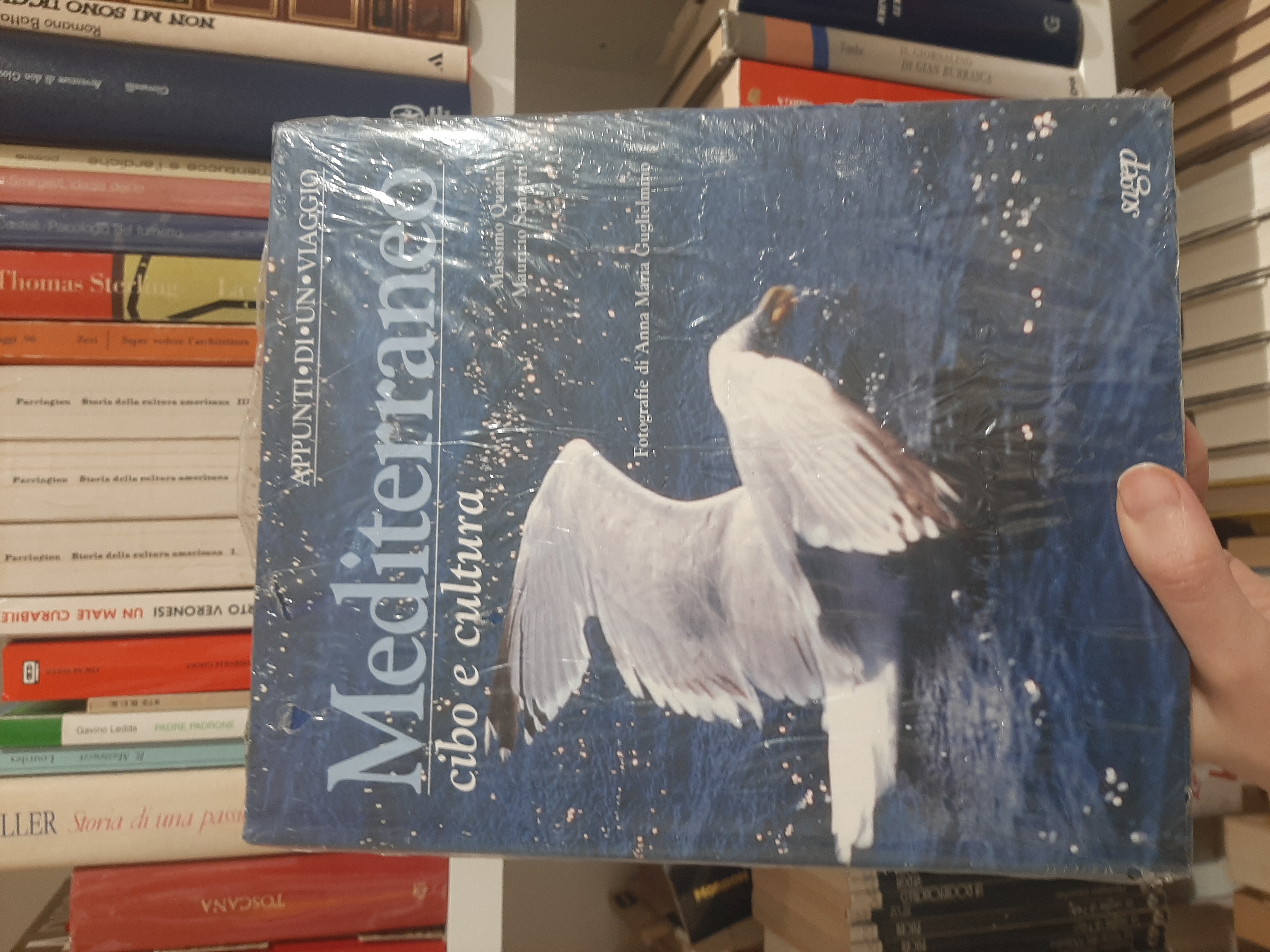 Mediterraneo, Cibo e Cultura