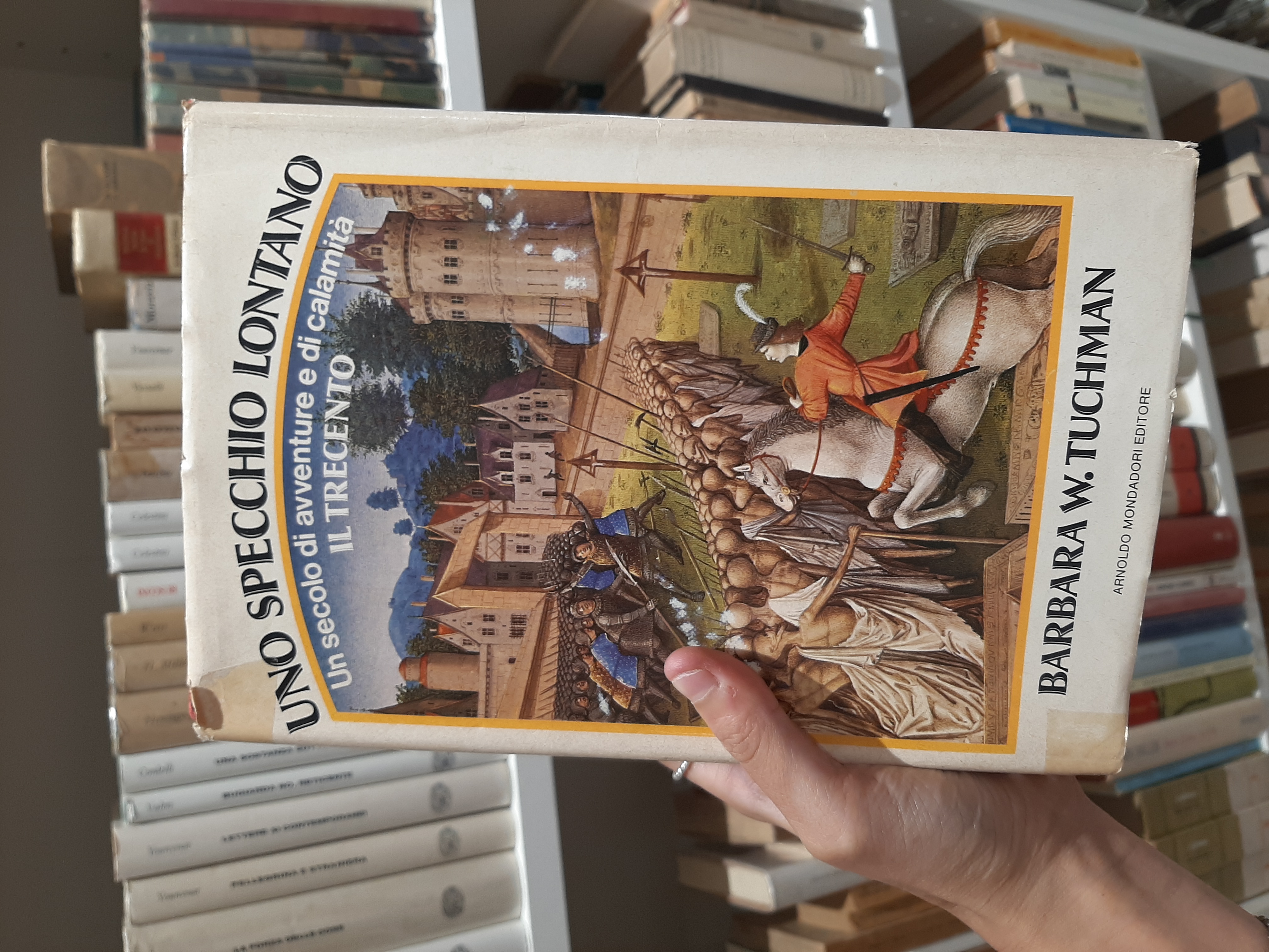 Uno specchio lontano