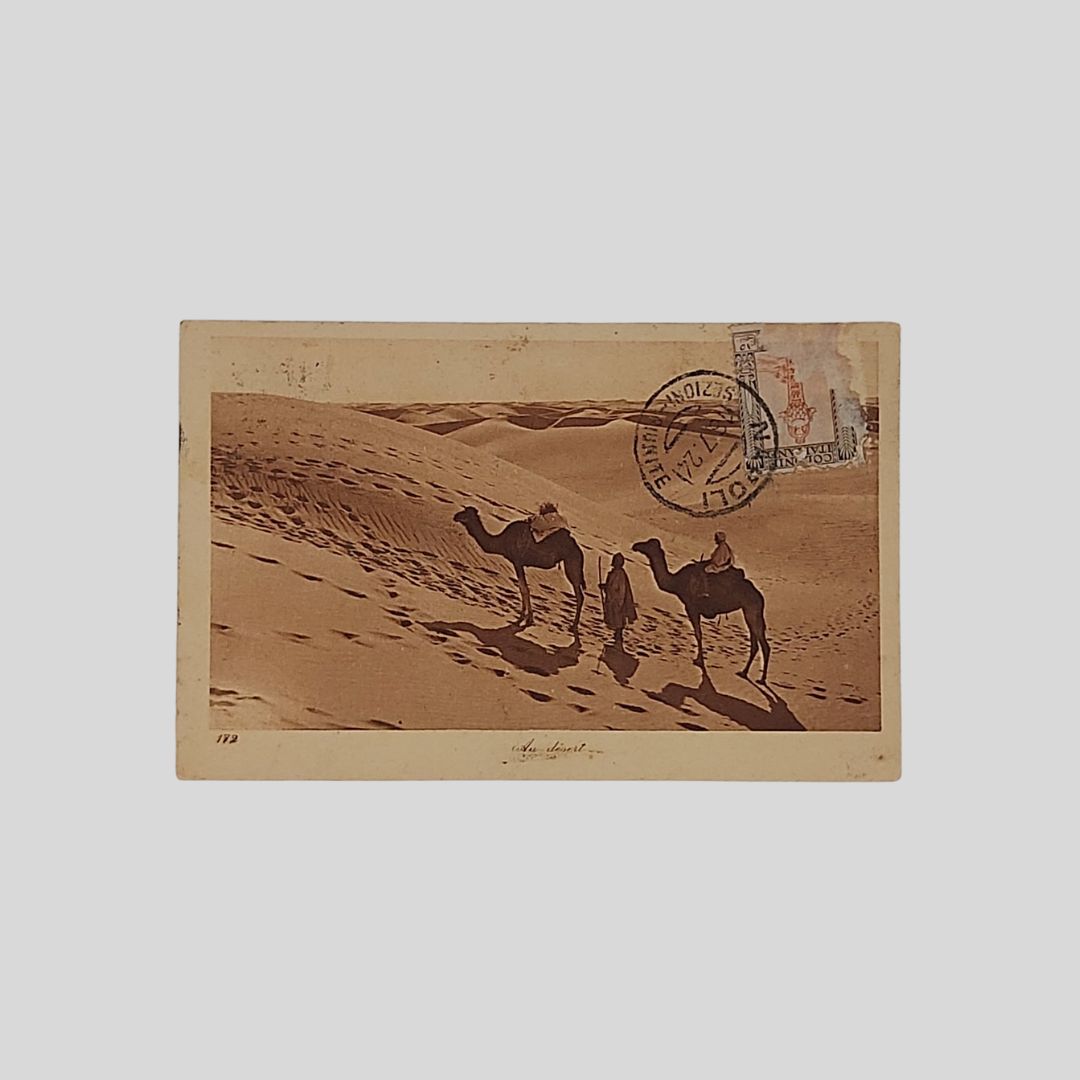 Beduini e Cammelli. Au desert.