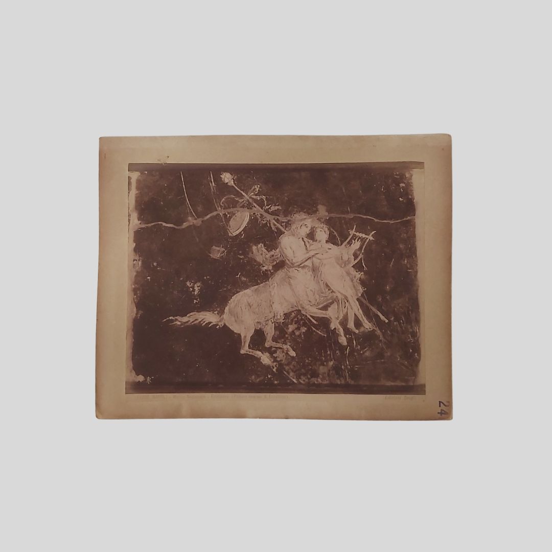 Centauro. Napoli Museo Nazionale. Edizioni Brogi.