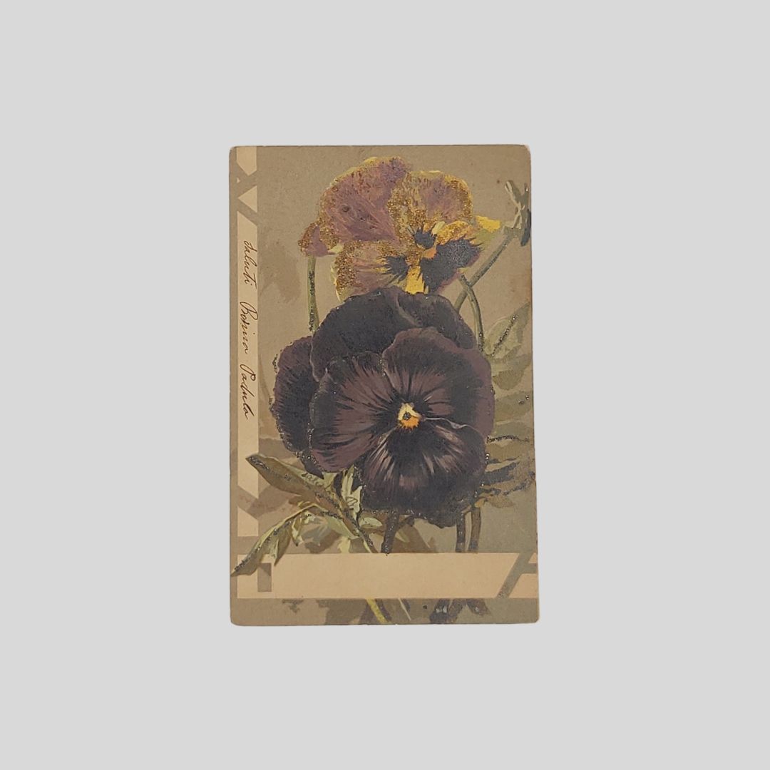 Fiori. Viole del pensiero