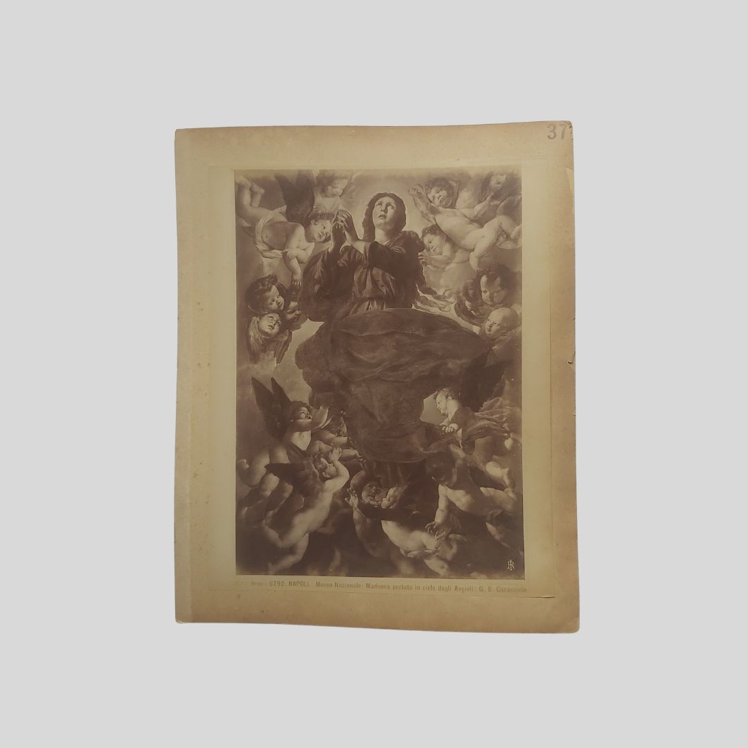 G. B. Caracciolo. Napoli Museo Nazionale. Edizioni Brogi.