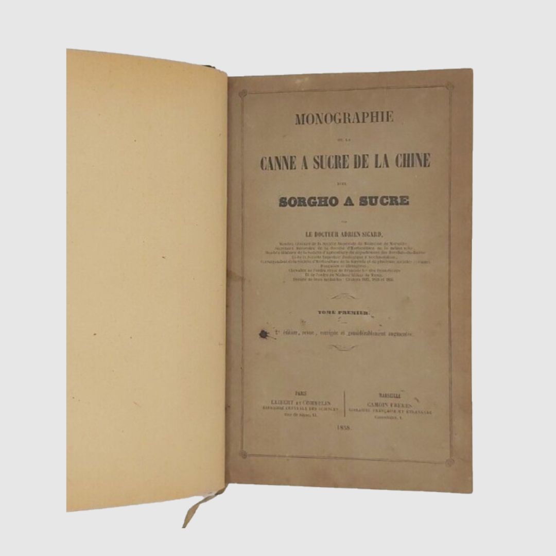 Monographie de la Canne à sucre de la Chine dite …