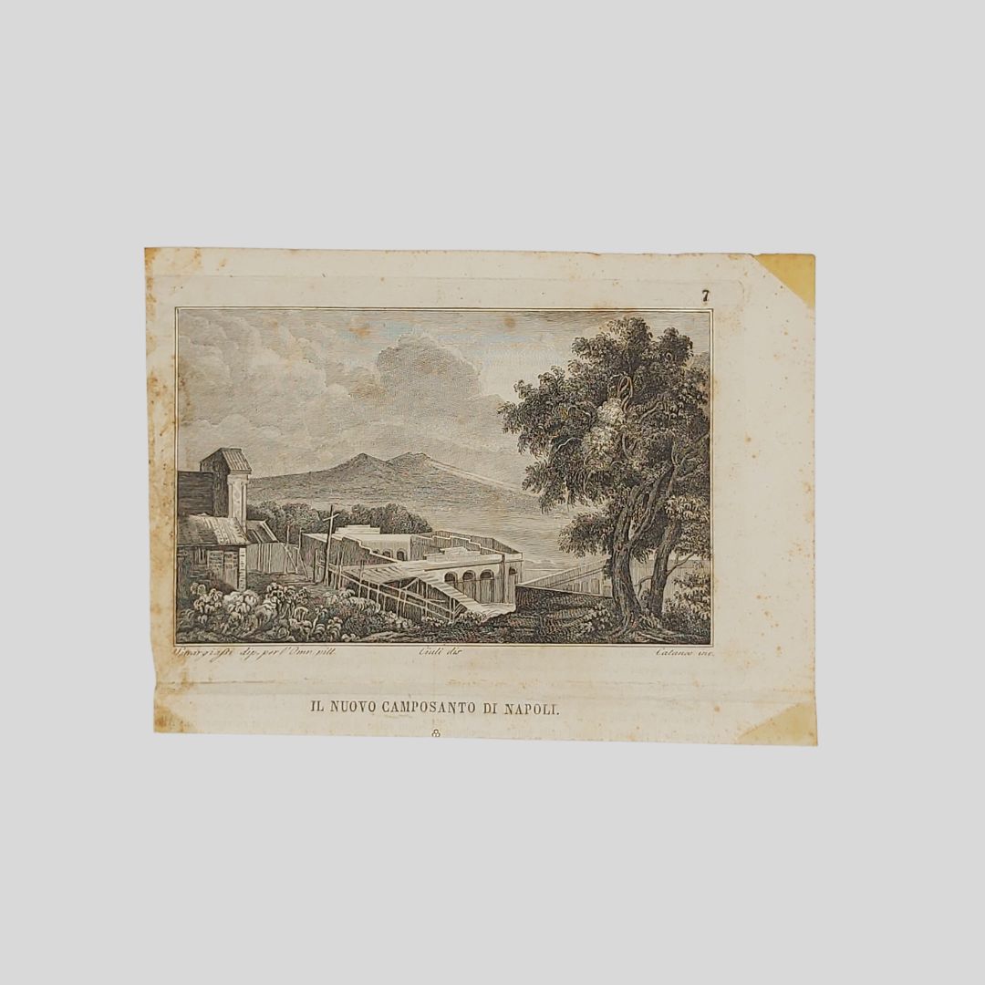 Napoli. Il nuovo camposanto.