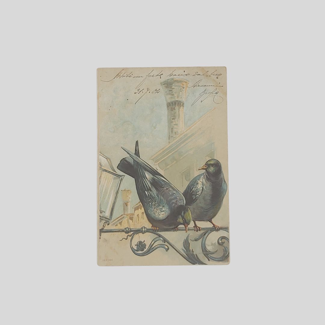 Piccioni sulla ringhiera.