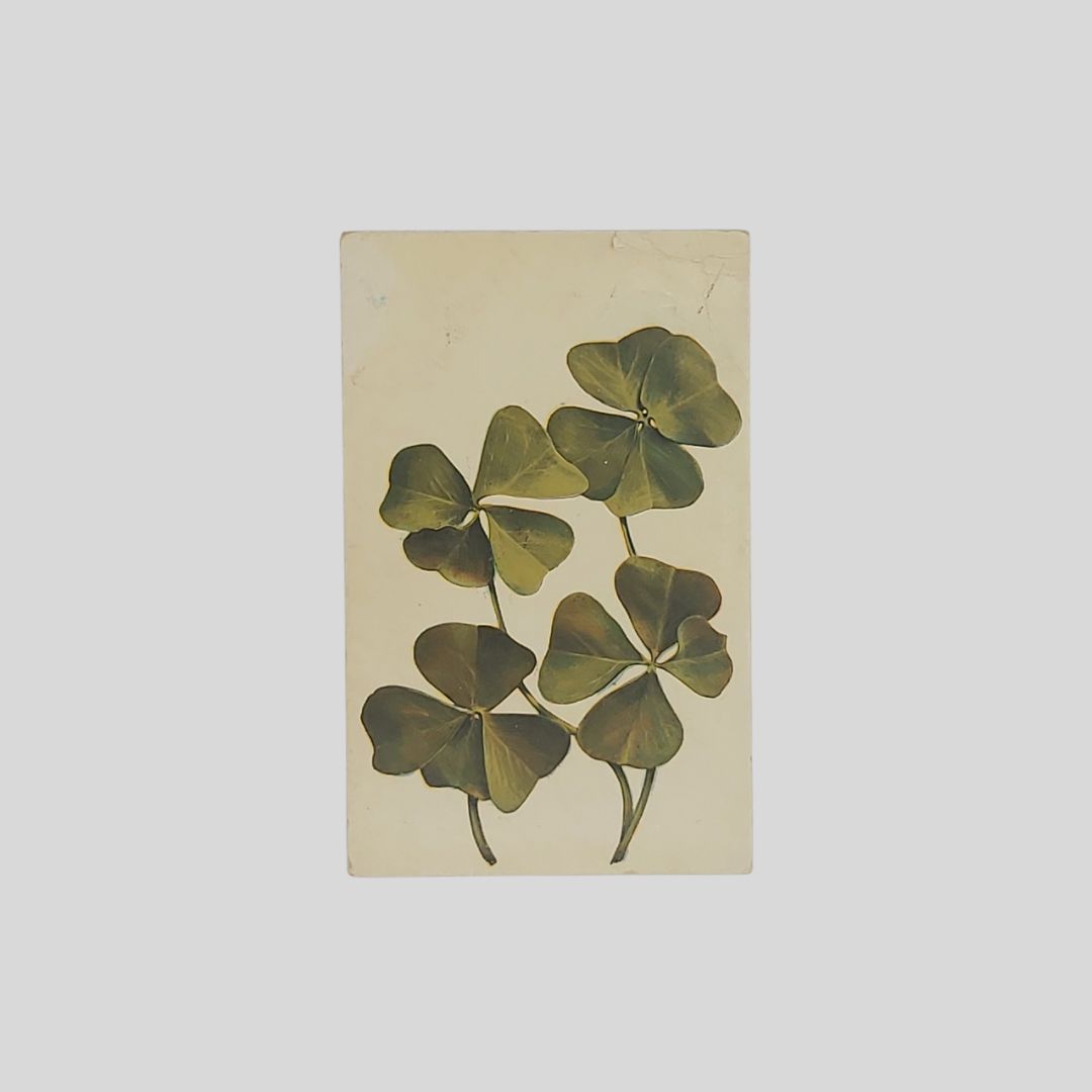 Quadrifoglio.