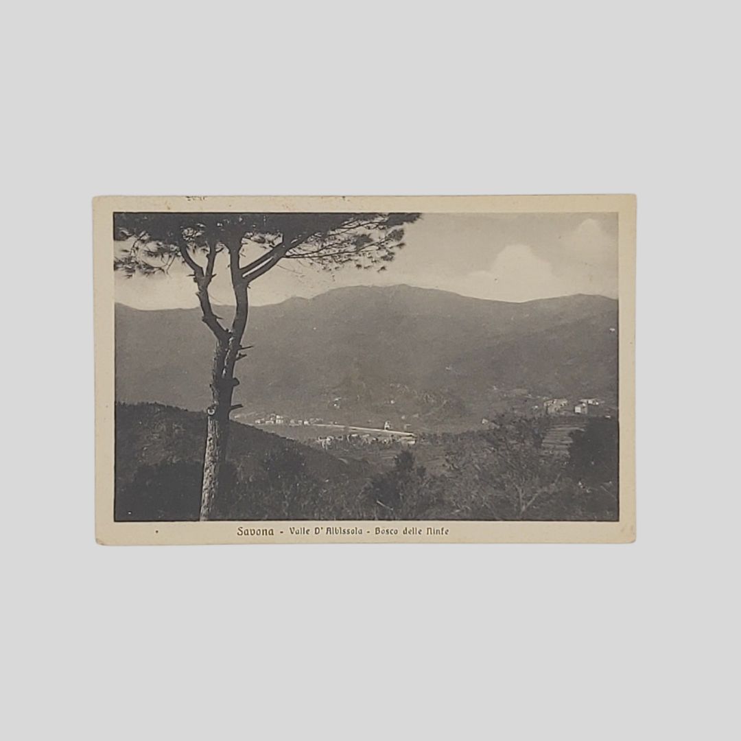 Savona. Valle D’Albissola. Bosco delle Ninfe.