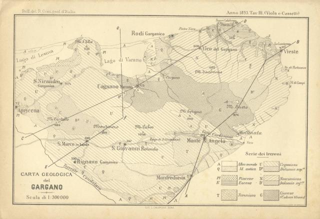 CONTRIBUTO ALLA GEOLOGIA DEL GARGANO.