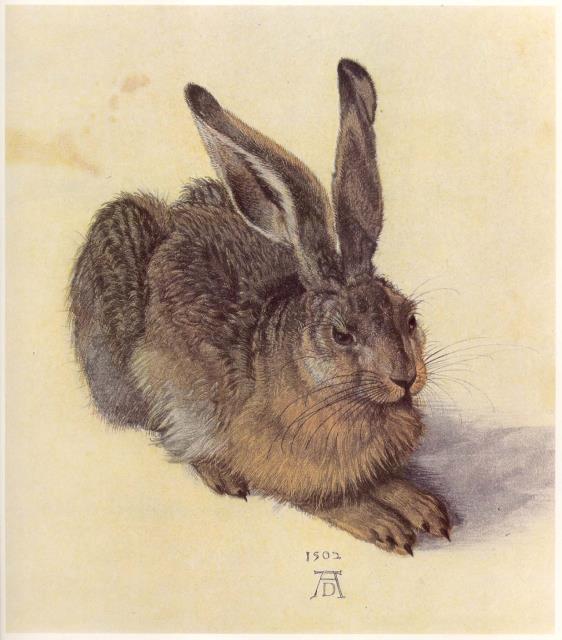 DÜRER. Werk aun Wirkung.