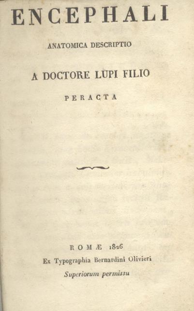 ENCEPHALI ANATOMICA DESCRIPTIO. A doctore Lupi filio peracta.