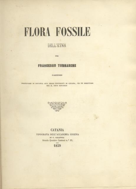 FLORA FOSSILE DELL'ETNA.