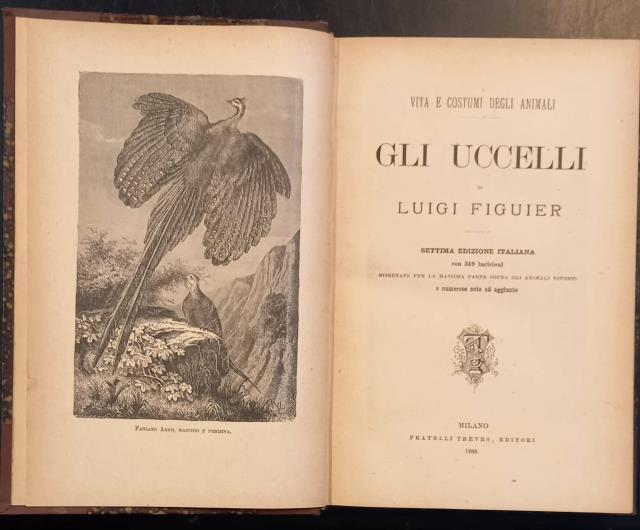 GLI UCCELLI. Settima edizione italiana con 349 incisioni disegnate per …
