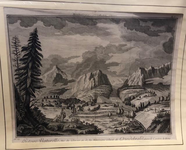 HISTOIRE NATURELLE. Vue du Glacier ou de la Montagne Glacée …