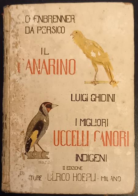 IL CANARINO / I MIGLORI UCCELLI CANORI INDIGENI. Più comunemente …
