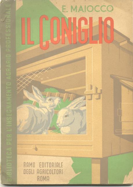 IL CONIGLIO.