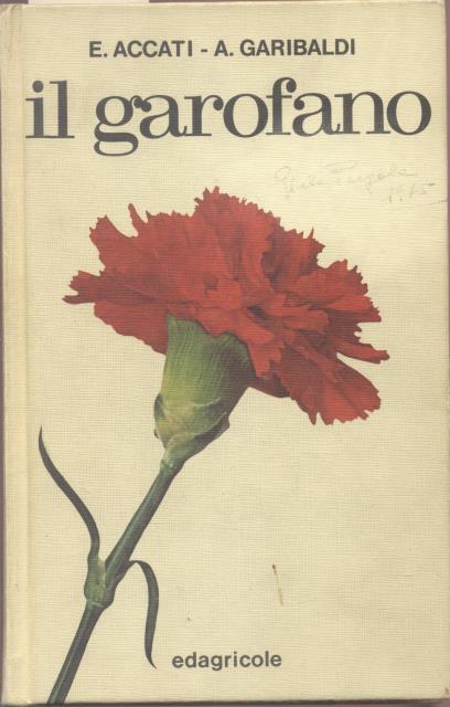 IL GAROFANO.