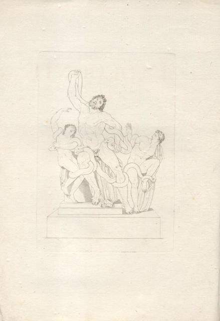 IL LAOCOONTE. Versi.