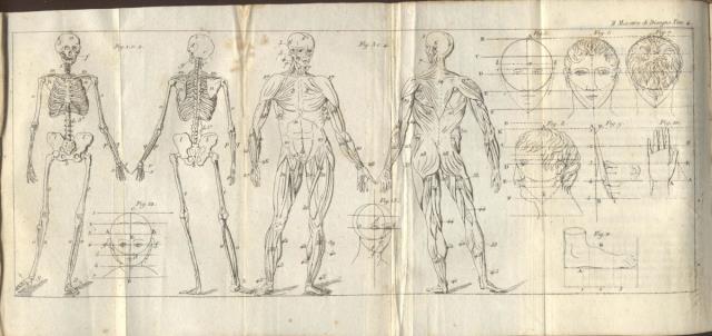 IL MAESTRO DI DISEGNO. Ossia Trattato completo dell'arte del disegnatore …