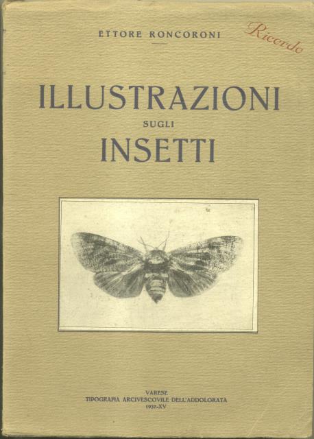 ILLUSTRAZIONI SUGLI INSETTI.
