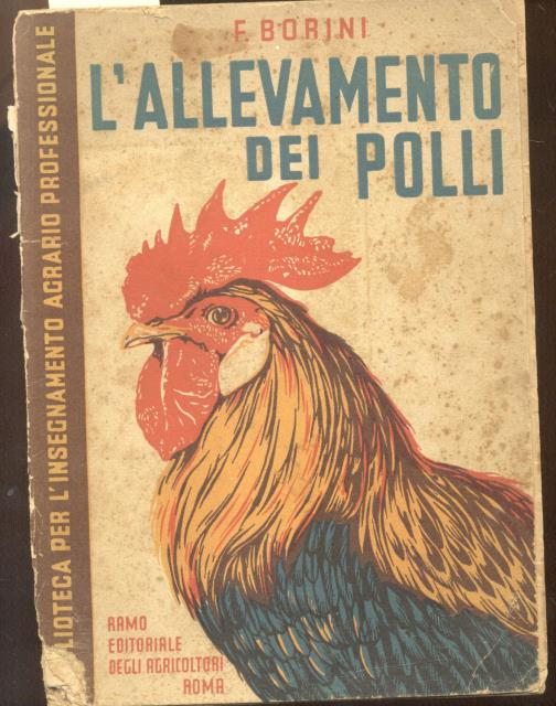 L'ALLEVAMENTO DEI POLLI.