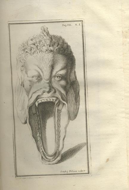 Lettera, nella quale vengono espressi colle figure in rame, e …