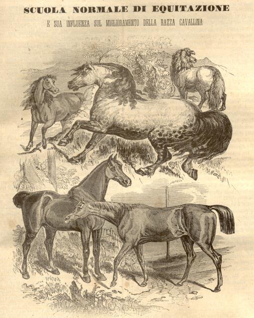 MUSEO SCIENTIFICO, LETTERARIO ED ARTISTICO. Ovvero Scelta Raccolta di utili …